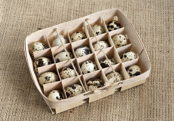 Quail eggs in a box