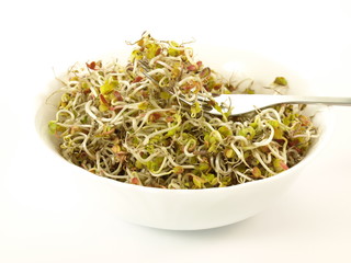 Bowl with sprouts, isolated