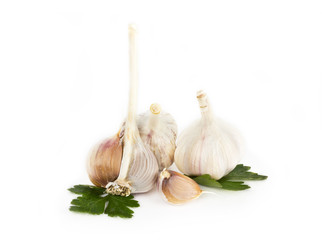 Garlic on white background
