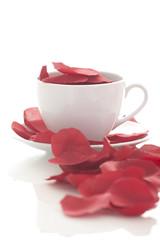 Coffee cup and rose petals 