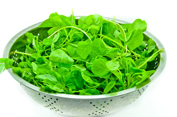 spinach bowl