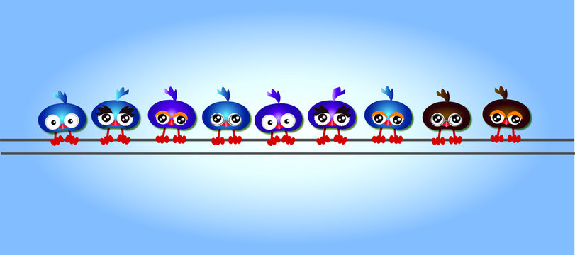 Colorful funny cute little birds