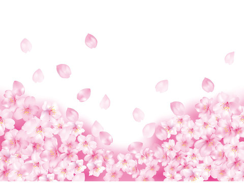 桜空白