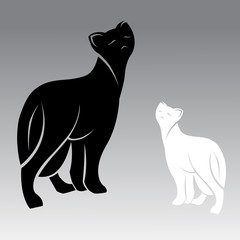 Vector image of an cat, illustration-vector