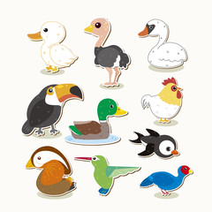 cute vector bird set