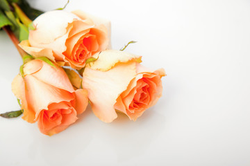 romantische Rosen Blumenstrauss als valentinsgeschenk