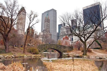 New York - Central Park - 48300904