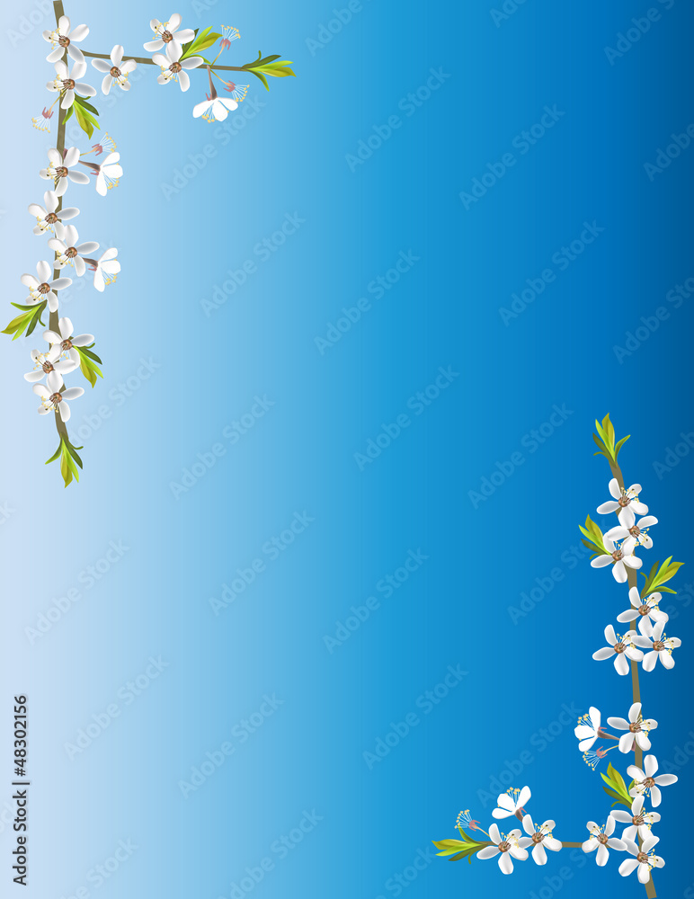 Wall mural white cherry flowers in corners on blue background