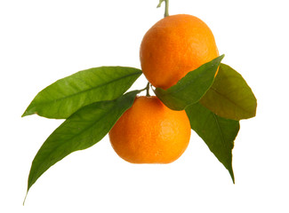 Ripe sweet tangerines with leaves, isolated on white