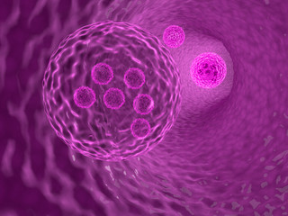 pink cells