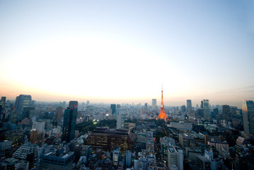 Fototapeta na wymiar 東京の夜景と東京タワー