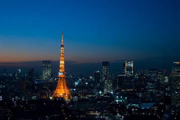 東京の夜景と東京タワー