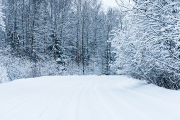 Obraz premium winter road