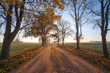 Rural road in autumn.