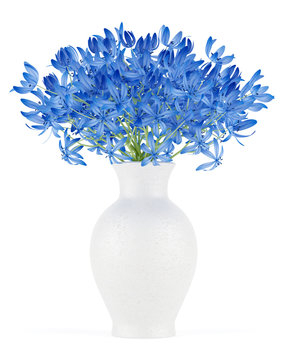 Blue Flowers In Vase Isolated On White Background
