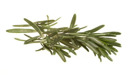 Rosemary