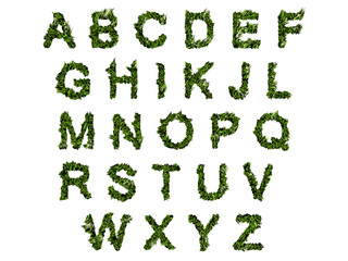 Alfabeto, agricoltura biologica, verde, ecologia, allevamento