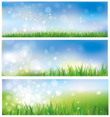 Fototapeta na wymiar Wektor, tło, wiosna, niebo i trawy.