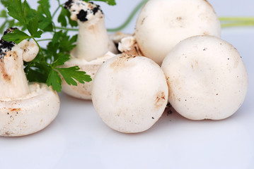 CHAMPIÑONES Y PEREJIL