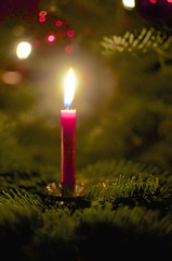 Candle on a Christmas Tree - 48312384