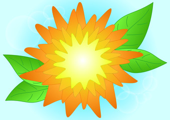 Sun flower