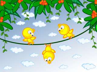 canaries on branch