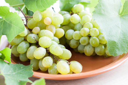 ripe bunches of grapes on a ceramic dish