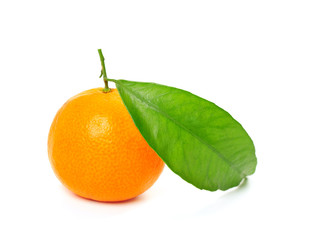 Tangerine isolated
