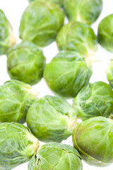 Viele Rosenkohlrosen auf wei&szlig;em Hintergrund