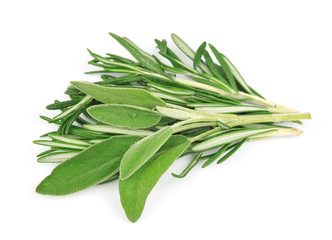 Fototapeta premium Twig of rosemary and sage