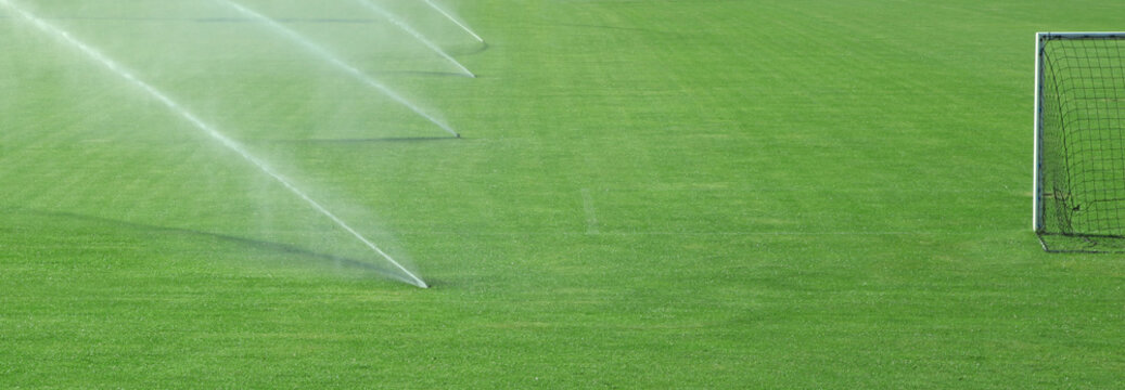 arrosage pelouse de stade