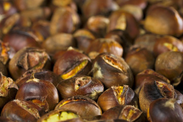Fototapeta premium chestnut