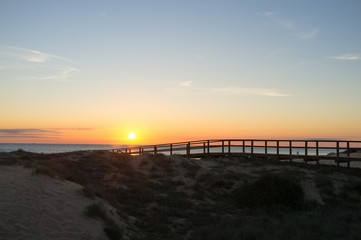 Sunrise over coastal dunes
