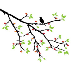 vector tree branch with bird
