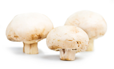 Champignon mushrooms  isolated on white background