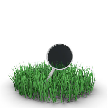 Loupe