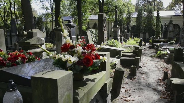 Fresh flowers on grave at historic Powazki cemetery, Warsaw