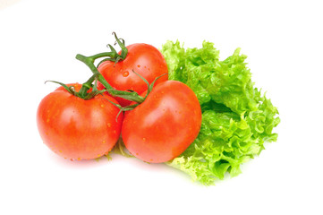 Tomatoes and salad, isolated on white background.
