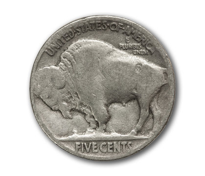 Buffalo Nickel Coin Isolated On White