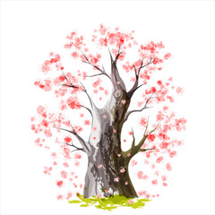 Blooming Japanese cherry tree - 48344338