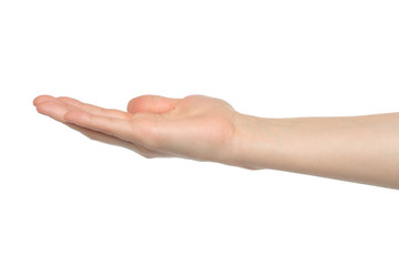 Open woman hand on white background.