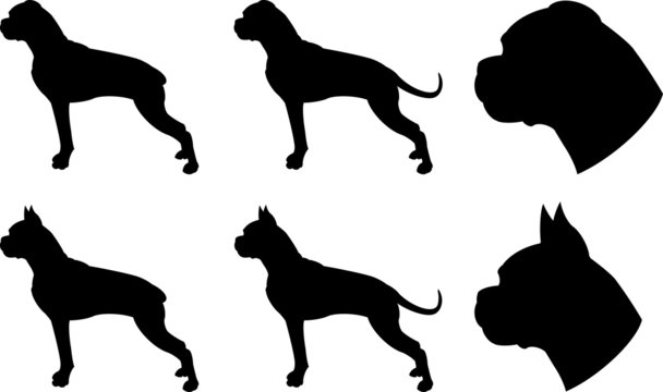 Download 2 068 Best Boxer Dog Silhouette Images Stock Photos Vectors Adobe Stock