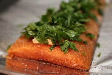 Lachs