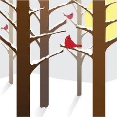Cardinals on a wintry day