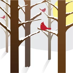 Papier Peint photo Lavable Oiseaux dans la forêt Cardinaux un jour d& 39 hiver