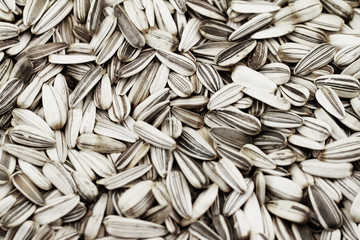 Sunflower seeds