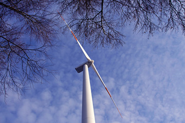 Windmill against a blue sky and tree branches
