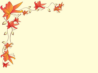 Floral background with flowers