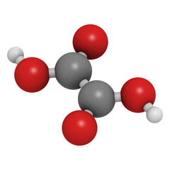 Oxalic acid molecule. Its salt, calcium oxalate, is the main com