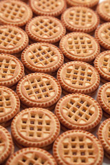 cookies on a white background